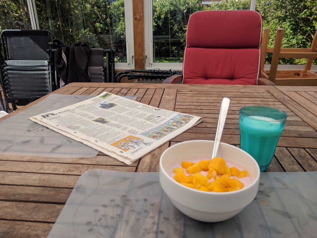 Skogsbär Yoghurt & Mango